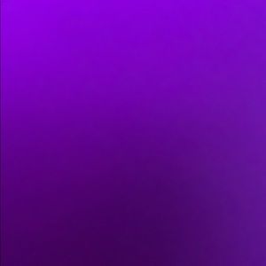 Meet your Posher, Evelina